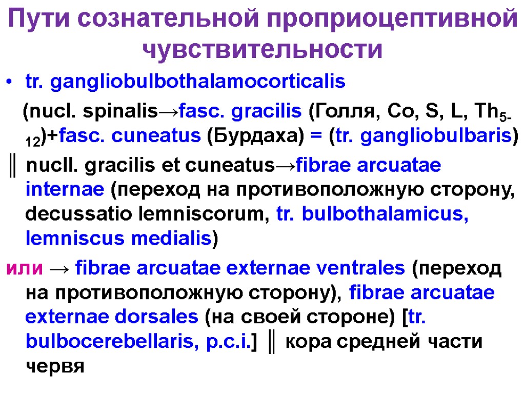 Бульботаламический путь схема