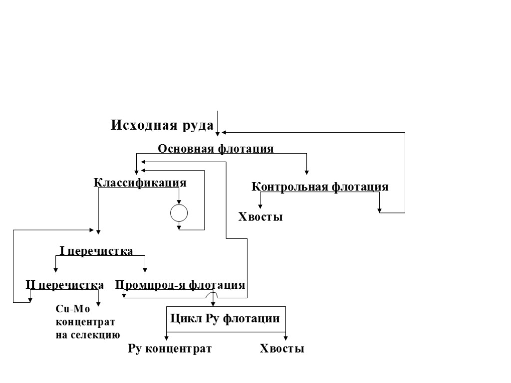 Положение руд