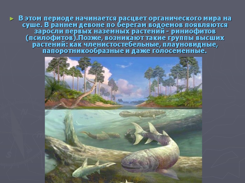 Четвертый период. Периоды палеозоя Девон. Девон период палеозойской эры. Девонский период палеозойской эры климат. Палеозойская Эра Девонский период Флора.