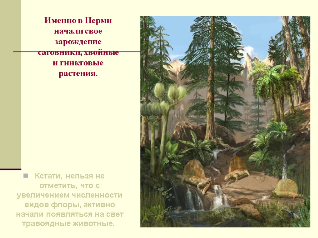 Палеозой пермь. Палеозойская Эра растения. Пермский период. Пермский период животные и растения. Пермский период растительный мир.