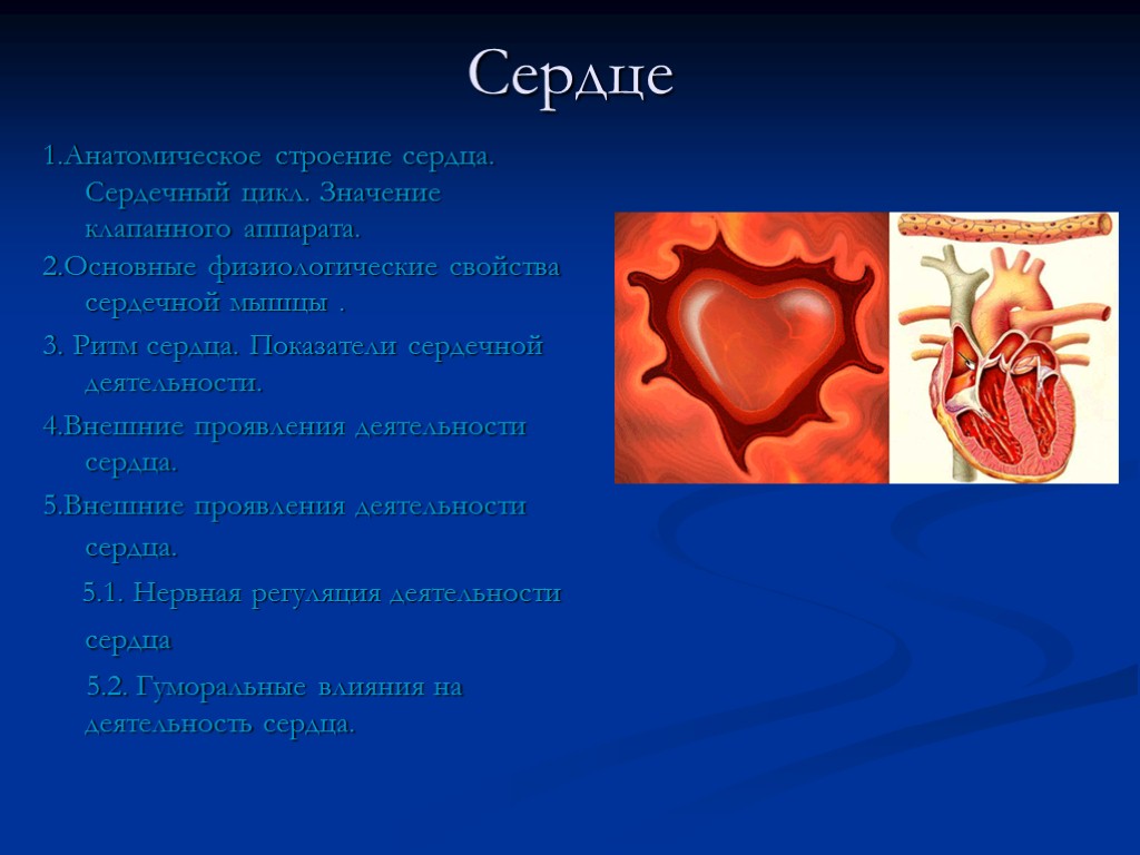 Сердце презентация 3 класс