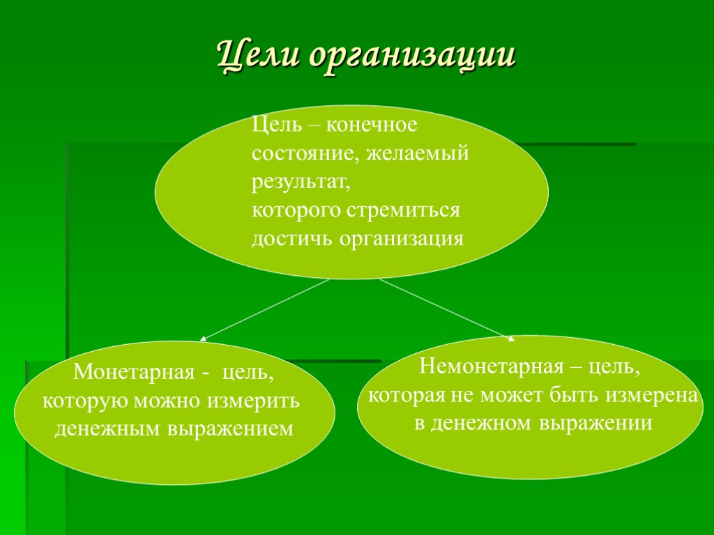 Цель выражает. Монетарные и немонетарные цели. Немонетарные цели организации. Цели создания фирмы. Монетарные цели фирмы.