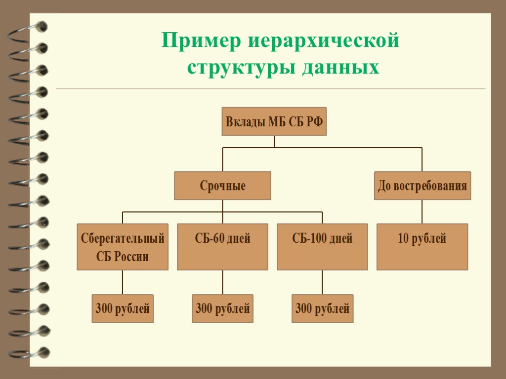 Структура модели данных. Иерархическая структура данных. Структура данных пример. Иерархия примеры. Пример иерархической структуры данных.