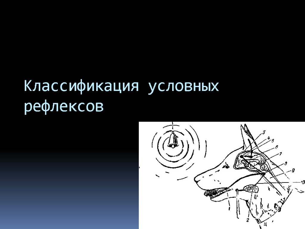 Выбери условные рефлексы. ВНД классификация условных рефлексов.. Условный мигательный рефлекс классификация. 1. Классификация условных рефлексов.. Условный рефлекс физиология.