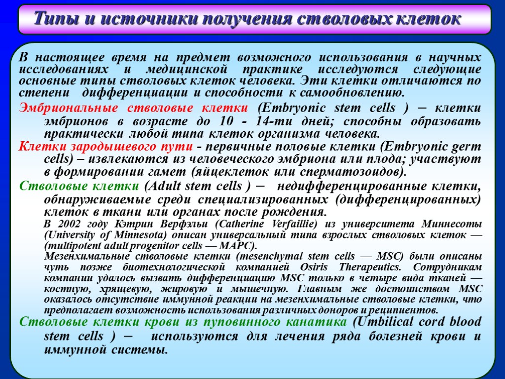 Стволовые клетки в биотехнологии презентация