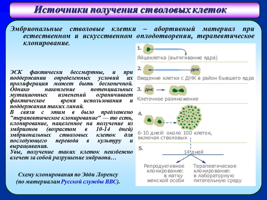 Клеточные источники. Эмбриональные стволовые клетк. Получение стволовых клеток. Получение эмбриональных стволовых клеток. Методы получения стволовых клеток.