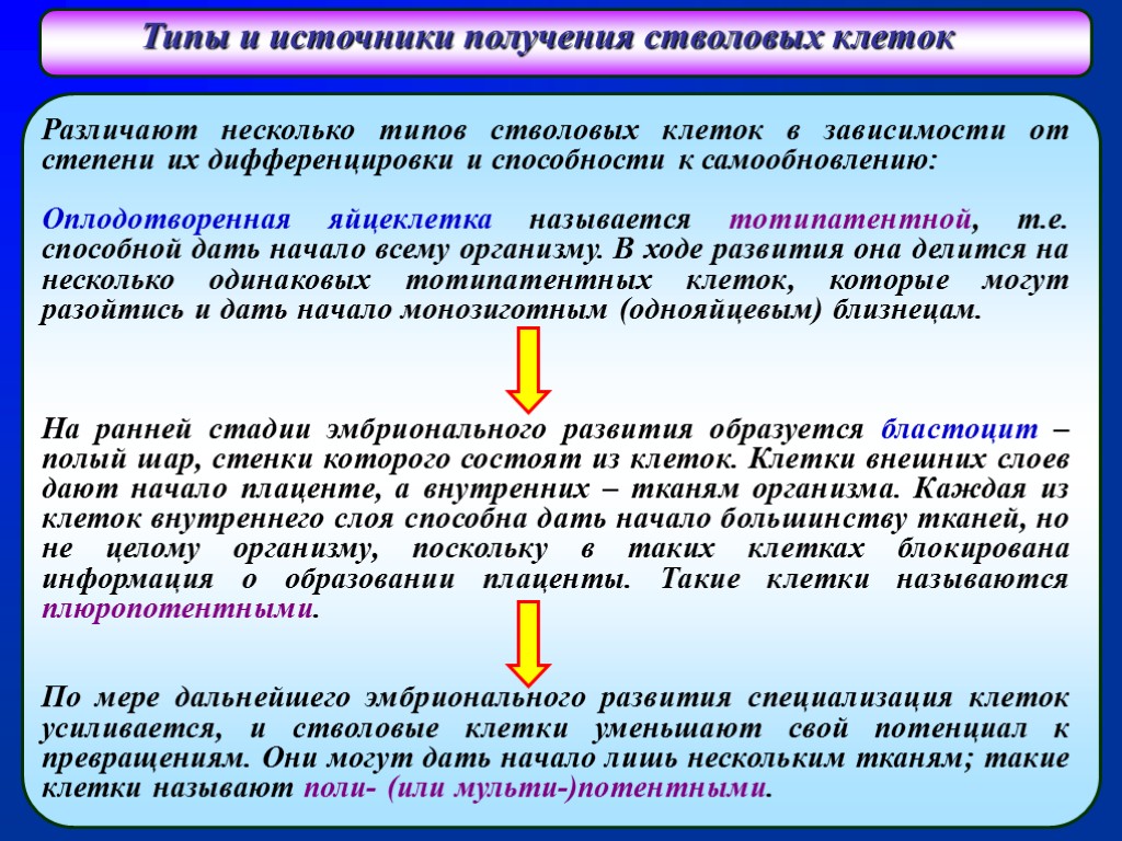 Специализация клеток. Источники получения тканей организма.