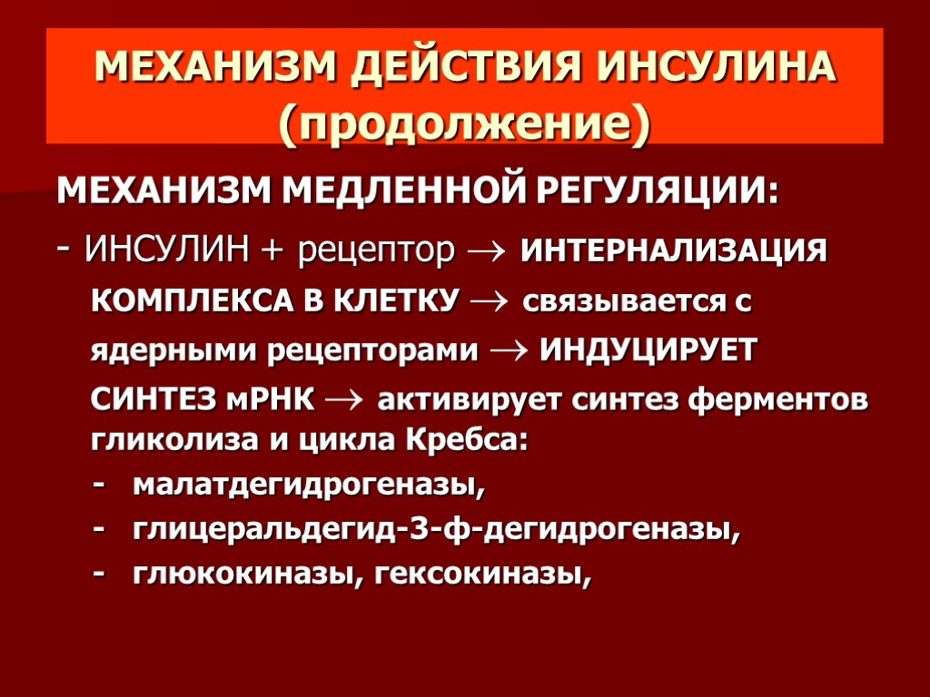 Скор механизм действия. Механизм медленной регуляции инсулина. Механизм действия инсулина схема. Механизм гипогликемического действия инсулина. Механизм действия инсулинов.