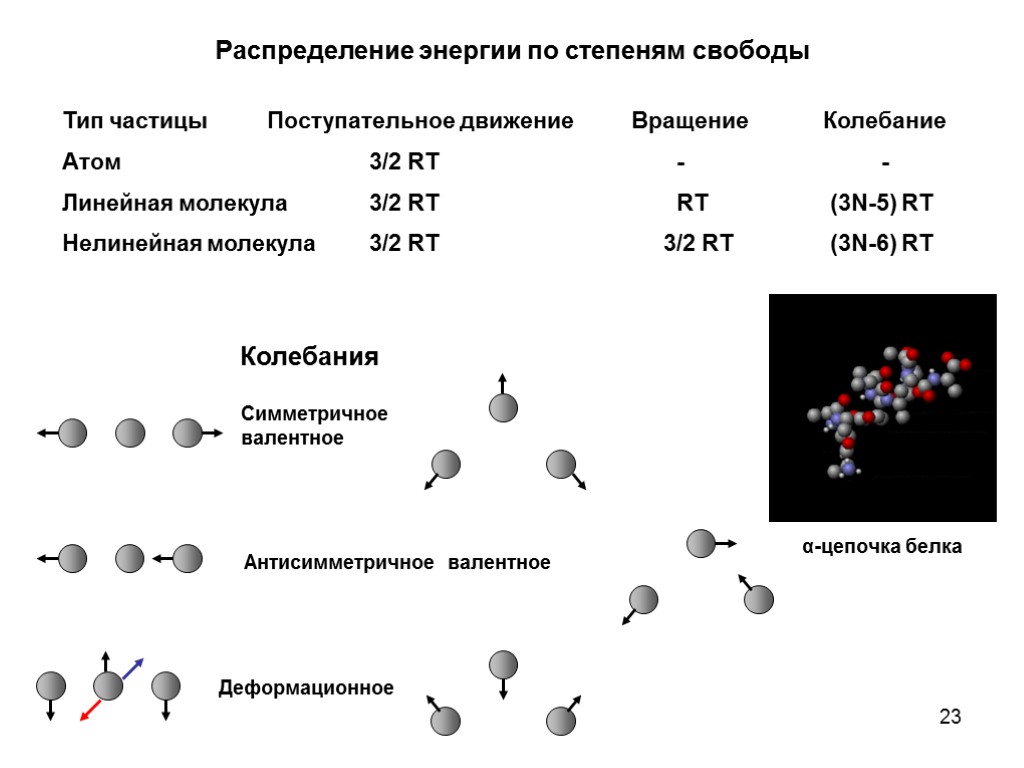 Поступательное движение молекул. Типы частиц. Степень свободы физхимия.