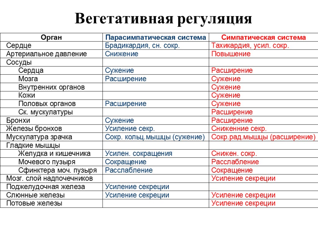 Система сокращений. Сокращение мочевого пузыря симпатическая или парасимпатическая. Тахикардия парасимпатическая или симпатическая. Парасимпатическая система брадикардия. Какое лекарство влияет на парасимпатическую систему.