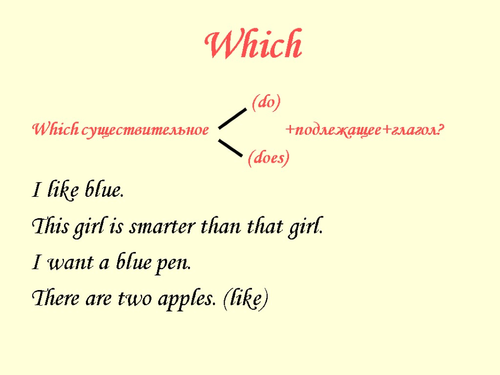 Which do. Did подлежащее +глагол. Which do или does. Where do does подлежащее глагол. Which do does.