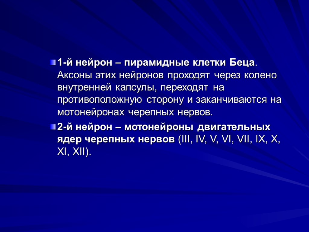 Клетки беца. Клетки Беца функции. Нейрон Беца. Аксоны клеток Беца. За что отвечают клетки Беца.