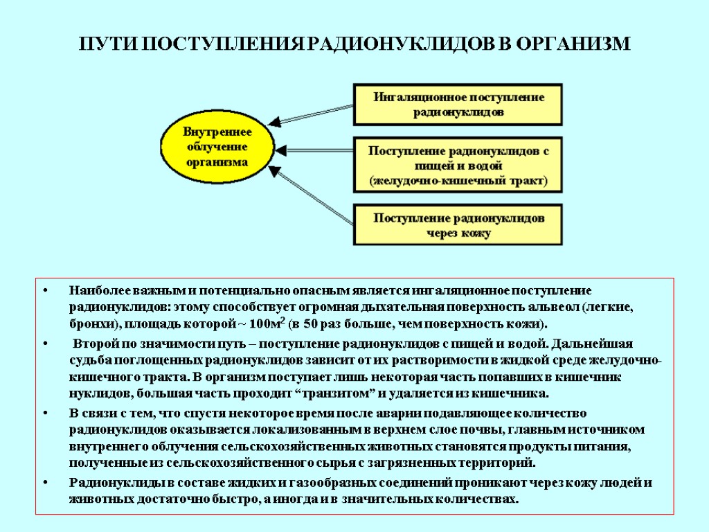 Пути миграции и накопление в биосфере токсичных и радиоактивных веществ схема