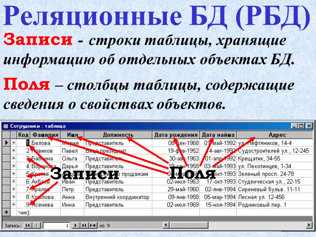 Запись базы данных содержит информацию