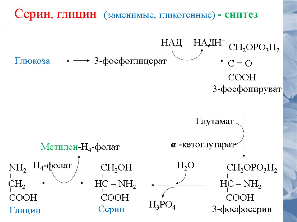 По какой схеме был осуществлен первый искусственный синтез углеводов