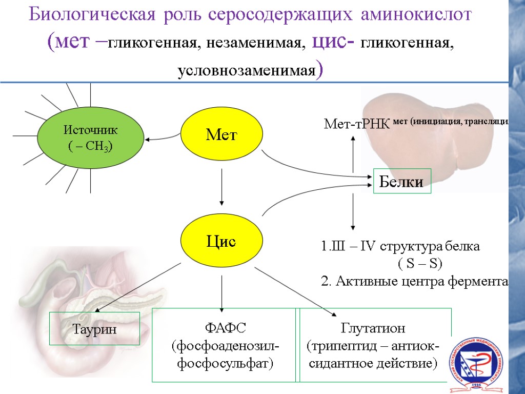 Схема применение аминокислот