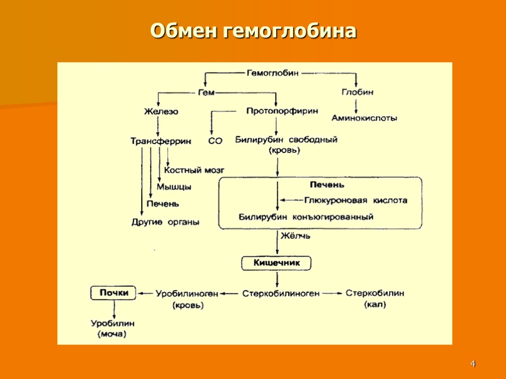 Распад гема