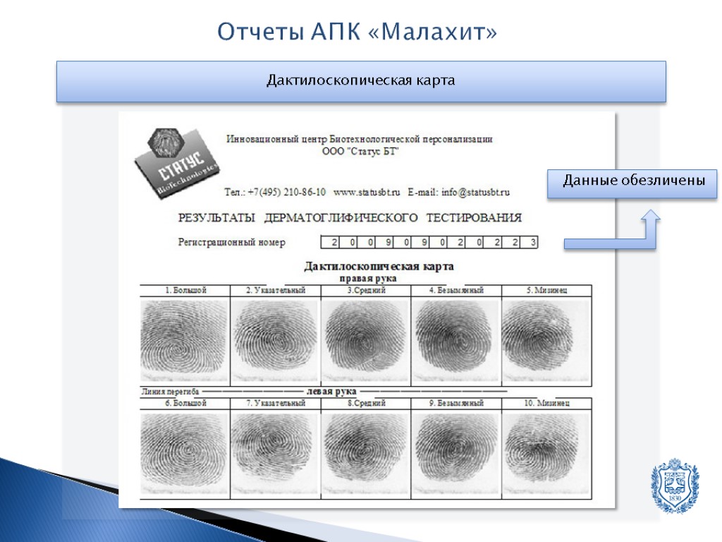 Направление на дактилоскопию образец