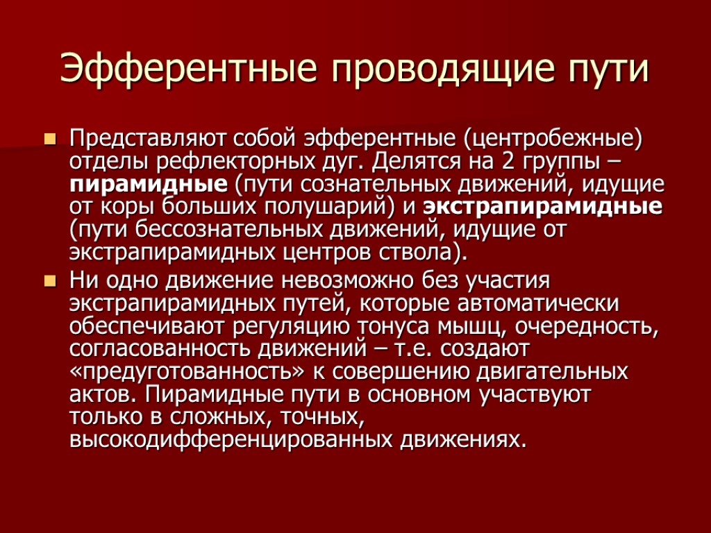 Представлена по пути. Эфферентные проводящие пути. Эфферентные экстрапирамидные проводящие пути. Эфферентные пирамидные пути. Эфферентные двигательные пути.