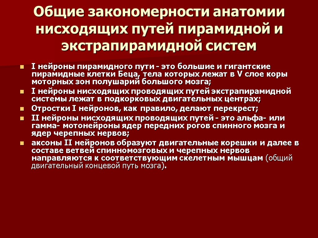 Схемы восходящих и нисходящих проекционных путей