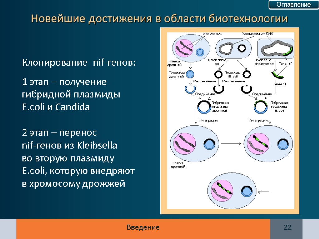 Клонирование гена картинки