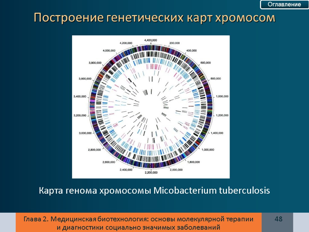 Генетическая карта анализ