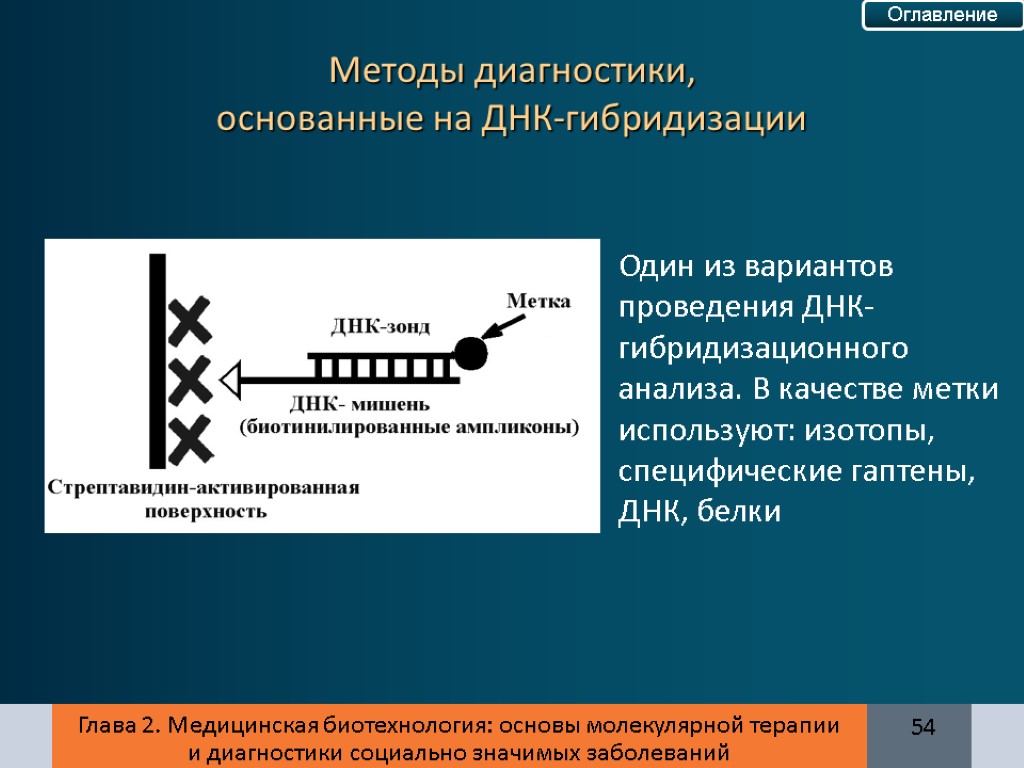 Днк зонд. Метод гибридизации ДНК. Гибридизация ДНК. Методы исследования ДНК. Методы молекулярной гибридизации ДНК-зонд.