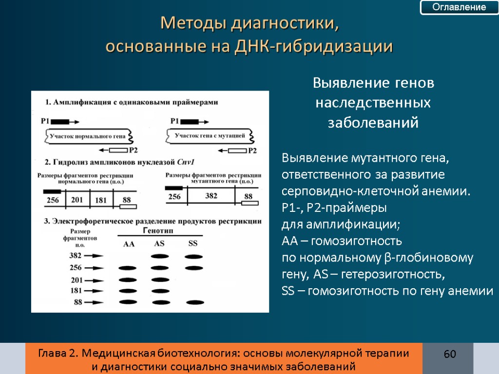 Метод днк