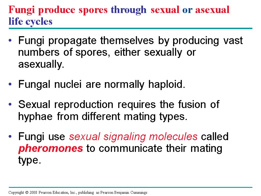 Sexual Reproduction In Fungi