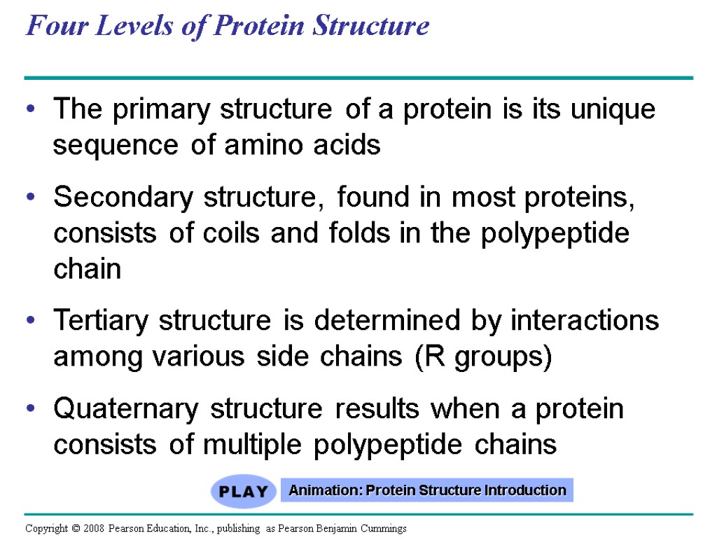 Chapter 5 The Structure and Function of Large