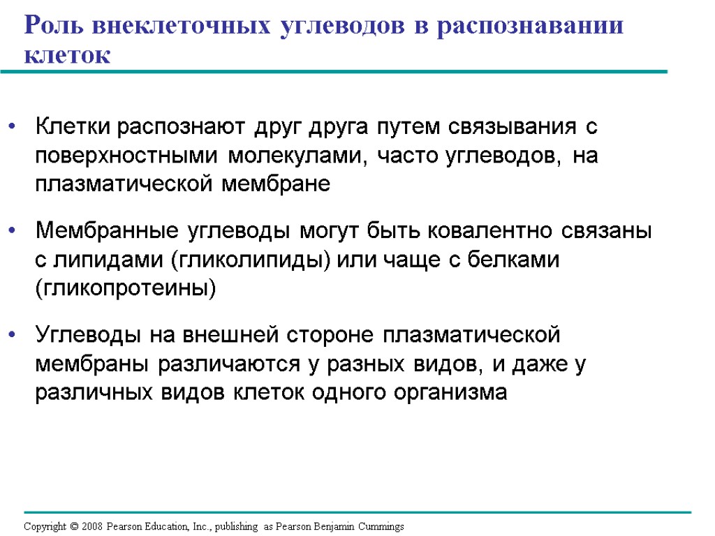 Углеводы в мембране. Обеспечивают узнавание клеток своего типа. Обеспечивают узнавание клеток ткани своего типа липиды или углеводы. Узнавание клеток своего типа ткани углеводы. Обеспечивают узнавание клеток ткани своего типа.