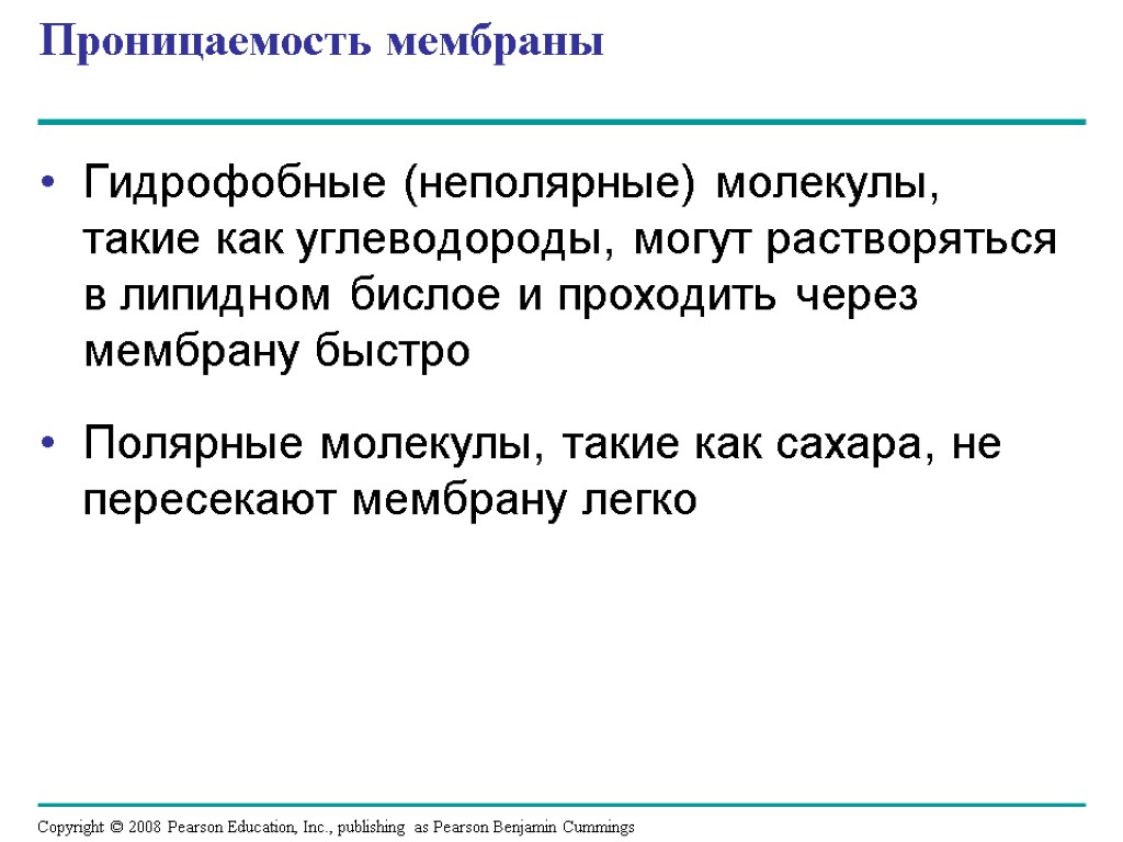 Проницаемость мембраны. Проницаемость клеточных мембран. Избирательная проницаемость мембраны. Повышение проницаемости мембран.