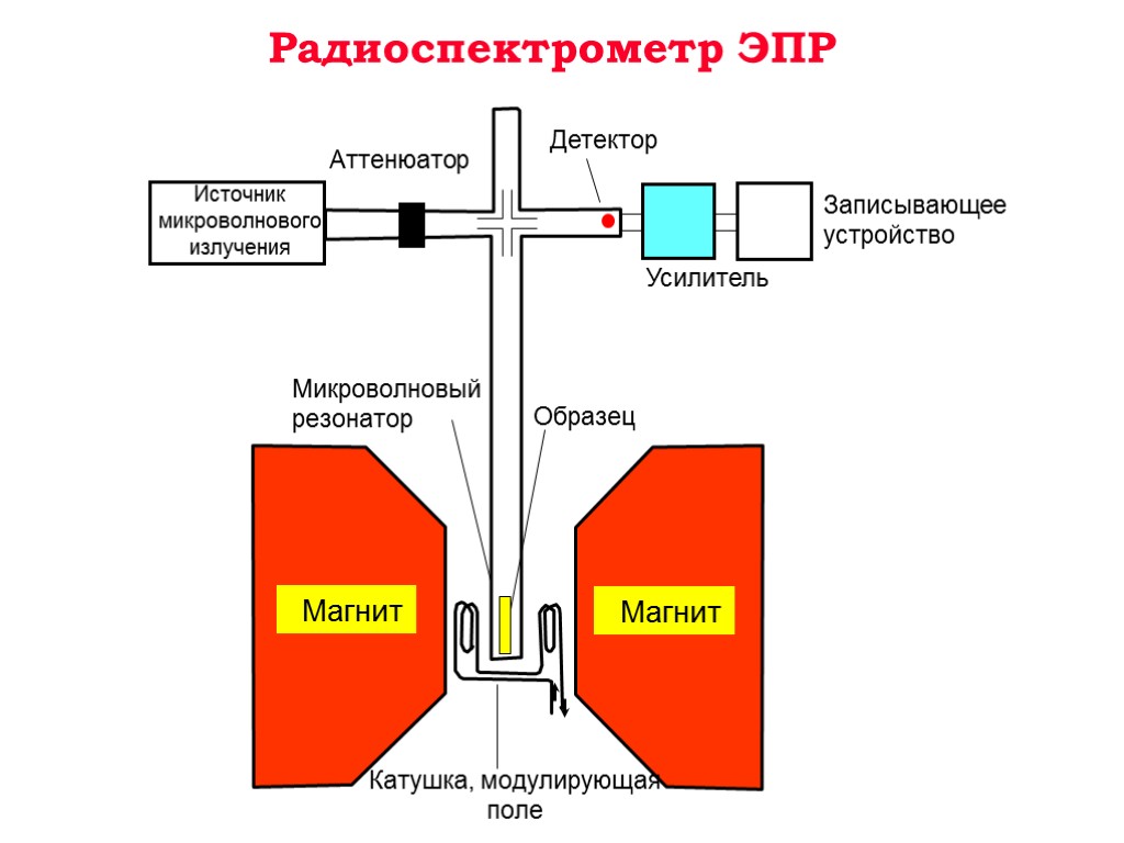 Усилители яркости рентгеновского изображения позволяют