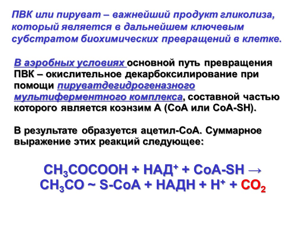 Гликолиз пировиноградная кислота. ПВК пируват. Превращение пирувата в аэробных условиях. ПВК или пируват.