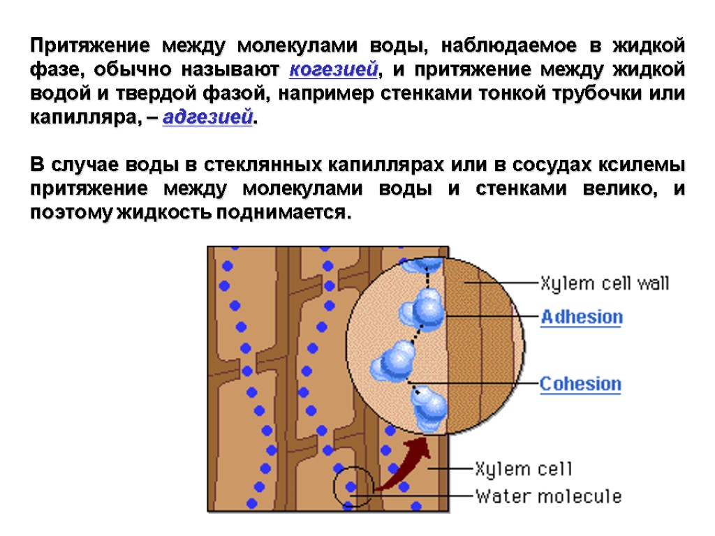 Сила притяжения в воде