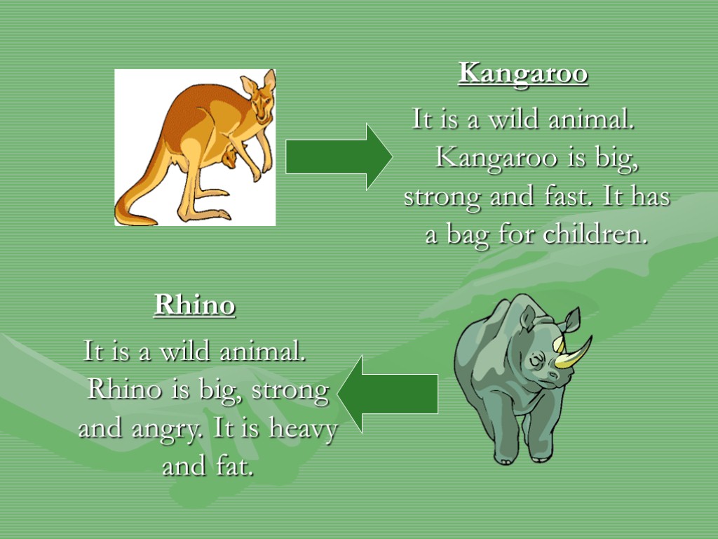 Wild animals тема