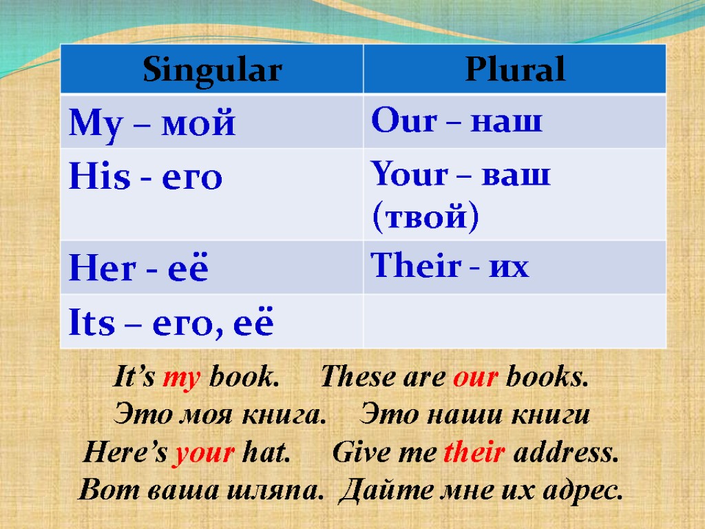 His c. Местоимения my his her its. Притяжательные местоимения my our your his her its. Местоимения mine yours his hers ours theirs. My your his her its our their.