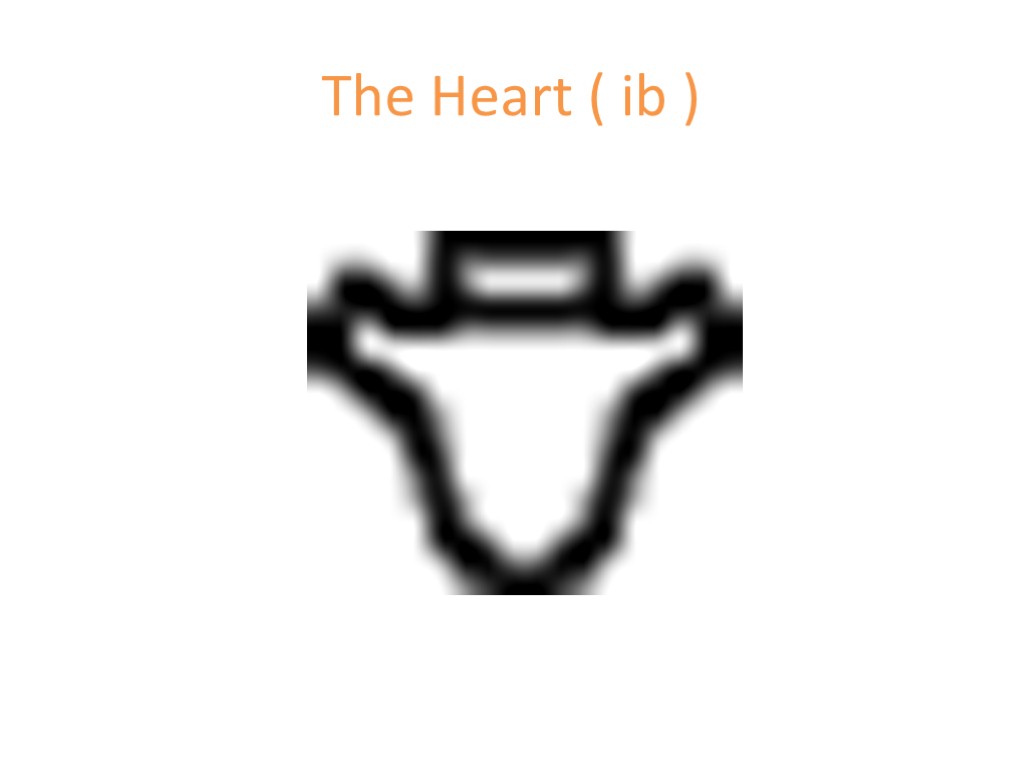 Human being Components. For the Ancient Egyptian the