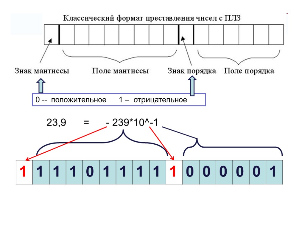 Представление чисел в эвм презентация