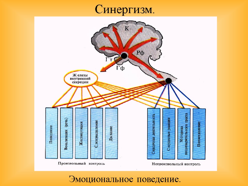 Что такое синергизм