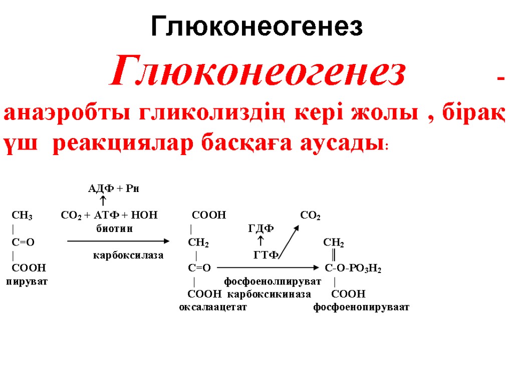 Глюконеогенез схема реакций