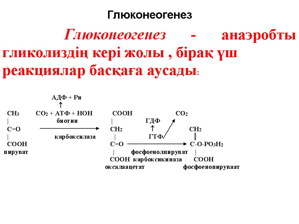 Ферменты глюконеогенеза. Активация глюконеогенеза. Механизм глюконеогенеза. Гормоны стимулирующие глюконеогенез. Глюконеогенез активирует.