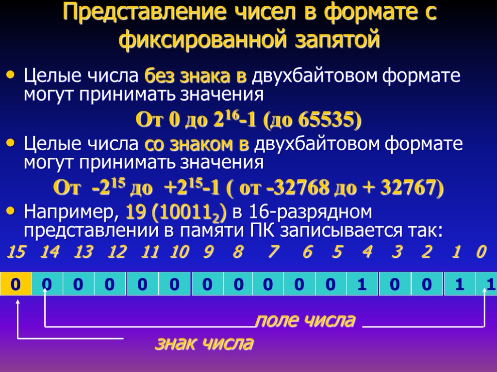 3 примера целых чисел. Представление чисел с фиксированной запятой. Числа с фиксированной точкой. Представление чисел с фиксированной точкой. Представление чисел с фиксированной и плавающей запятой.