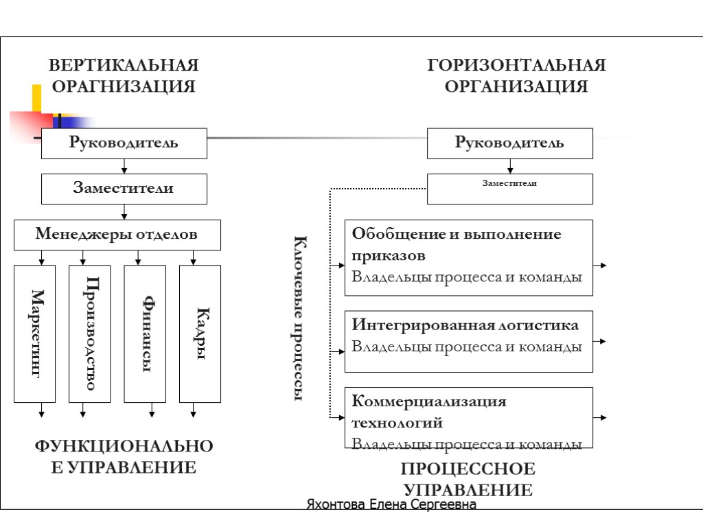 Горизонтальная организация