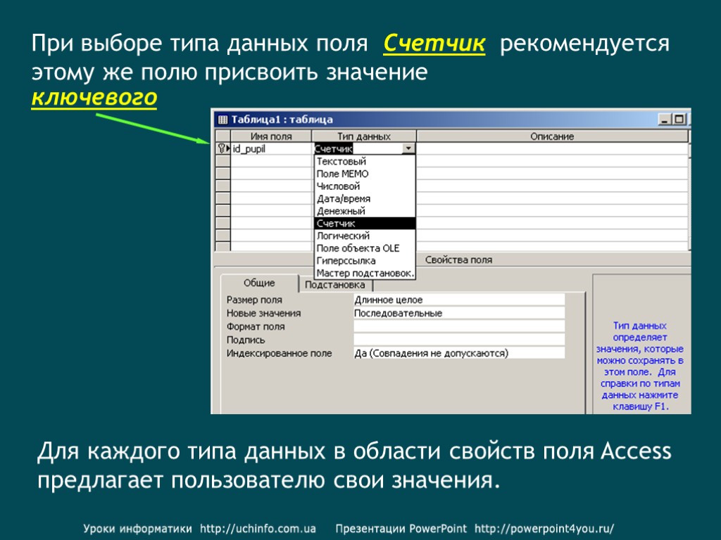 Значение таблица в базах данных. Поле счетчик в access. Поле счётчик таблицы access. БД Тип данных счетчик. Счетчик в Тип данных 2016 аксесс.