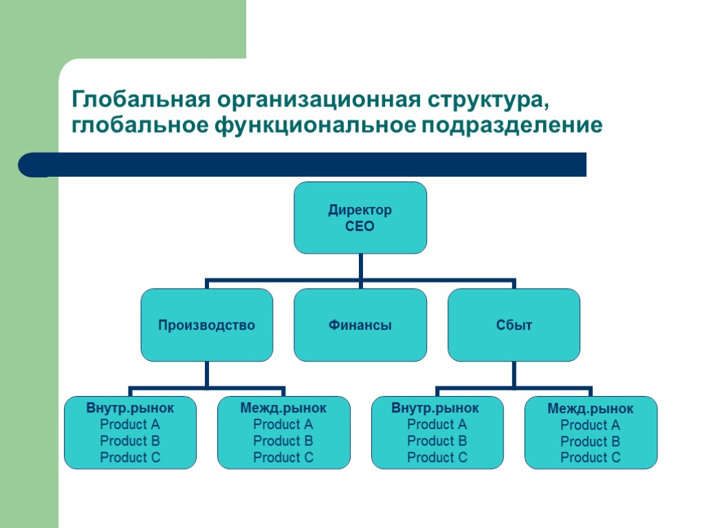 Географическая структура