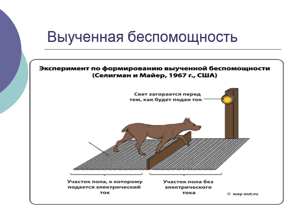 Беспомощность. Синдром выученной беспомощности.