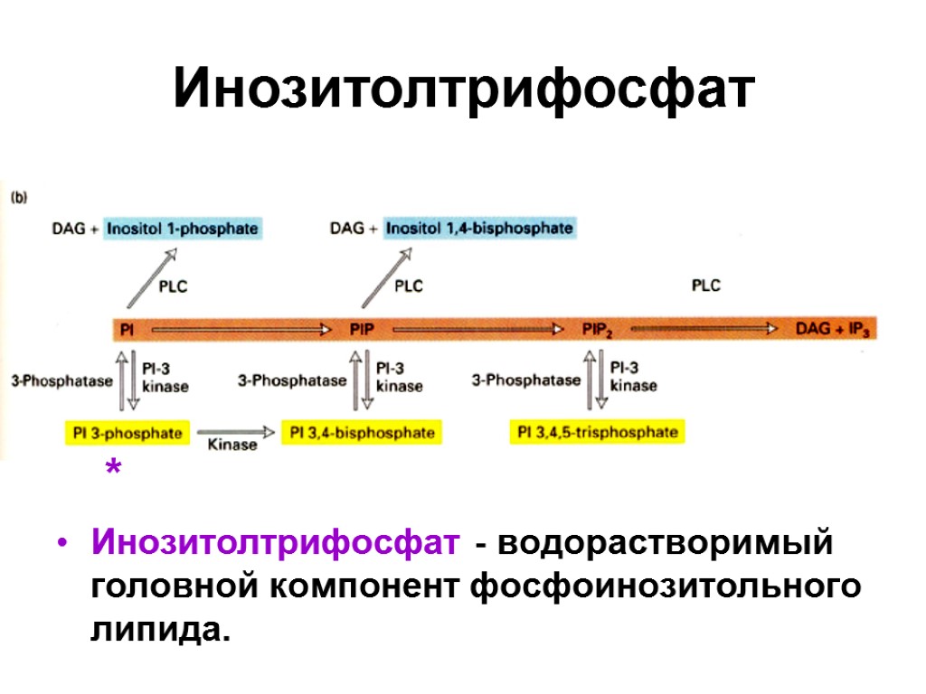 Основной маршрут