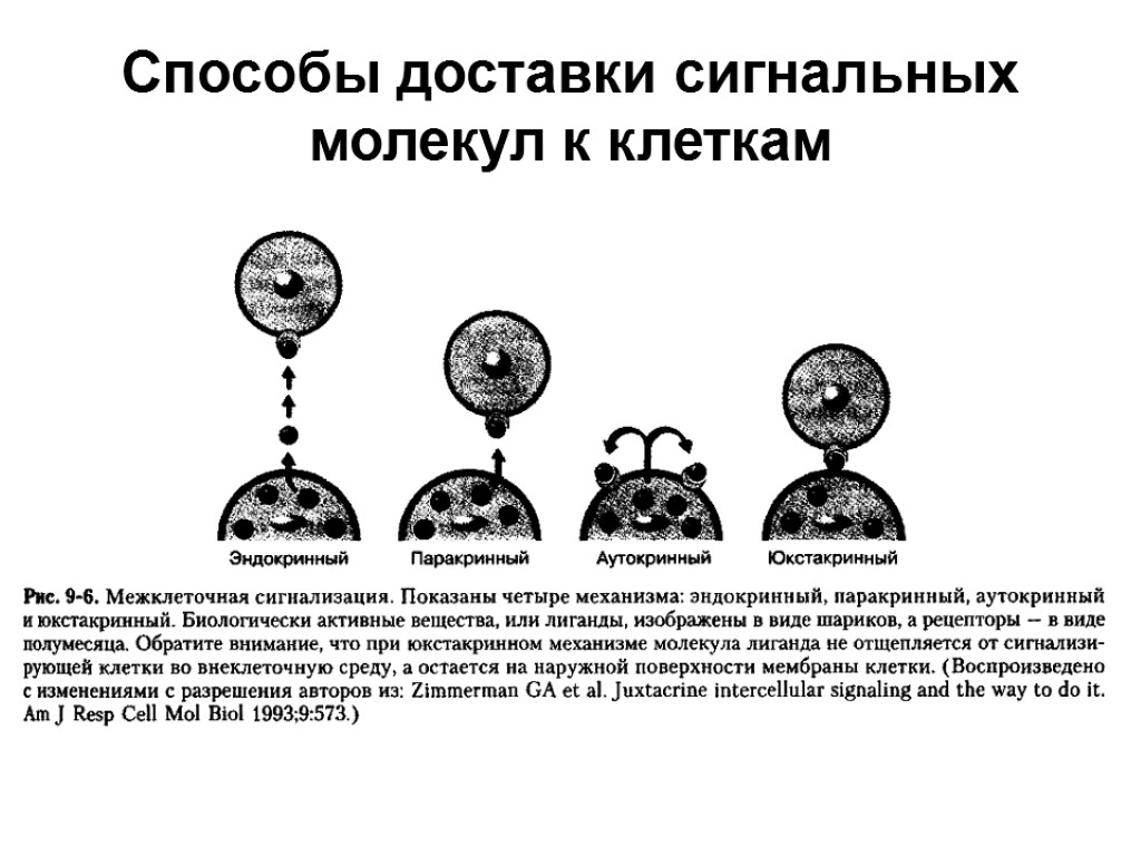 Каков механизм передачи энергии по металлическому стержню