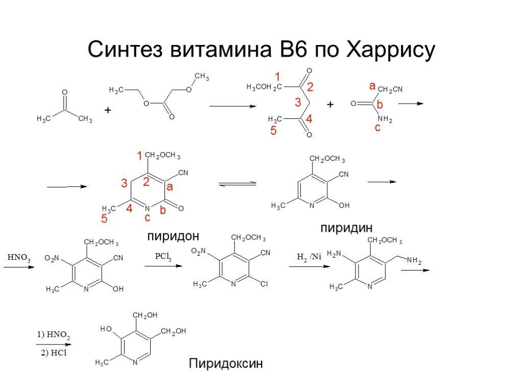 Синтез витаминов в коже